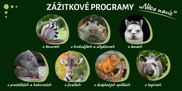 Zážitkové programy