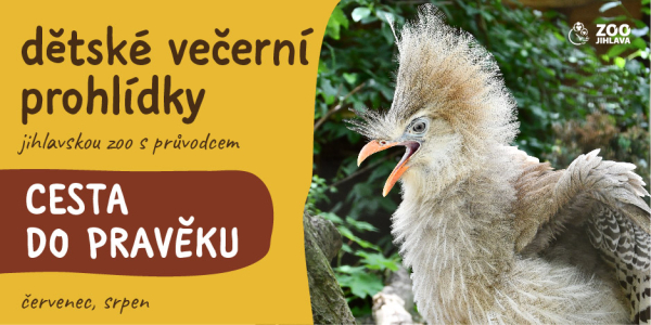 AKCE