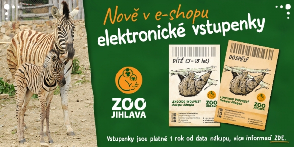 e-vstupenky