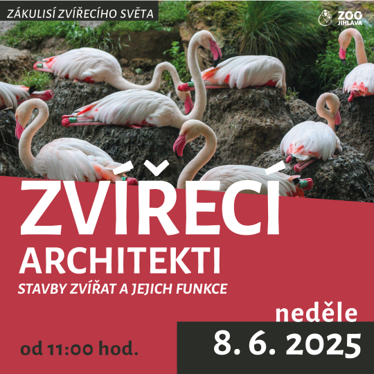 Zvířecí architekti