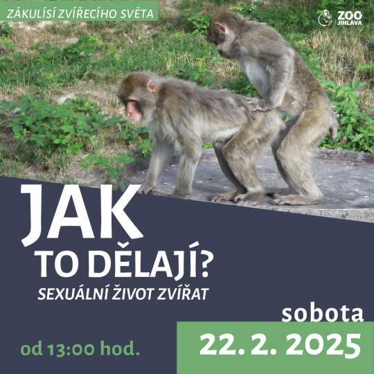 "Jak to dělají" aneb sexuální život zvířat