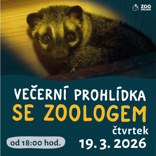 Večerní prohlídka se zoologem 19. 3.