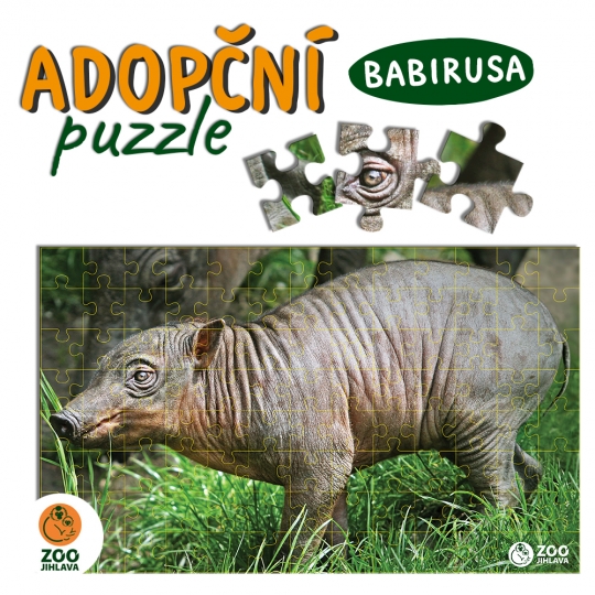 Adopční puzzle - babirusa