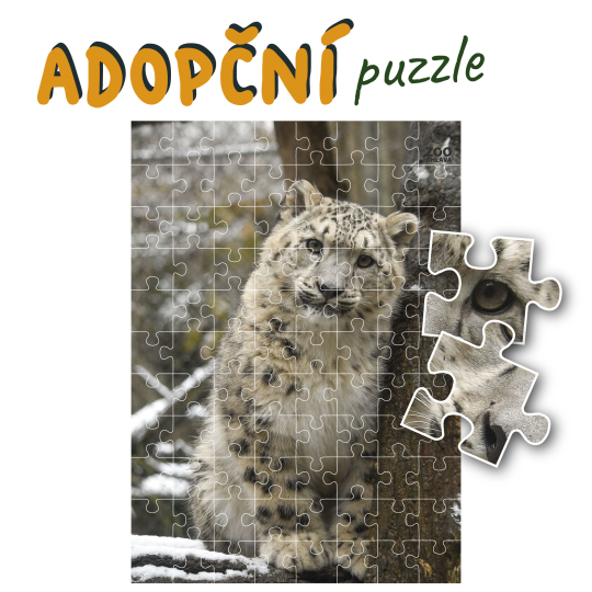 adopční puzzle - irbis