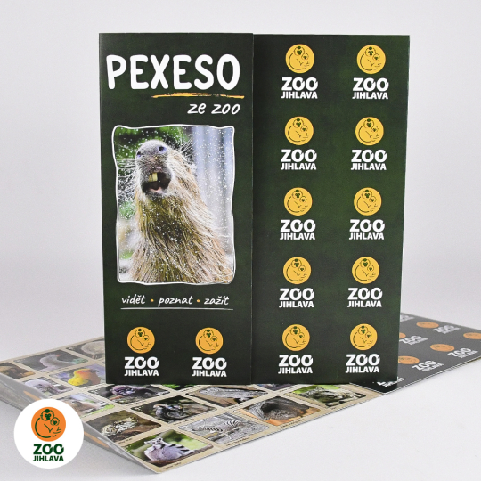 Pexeso Zoo Jihlava