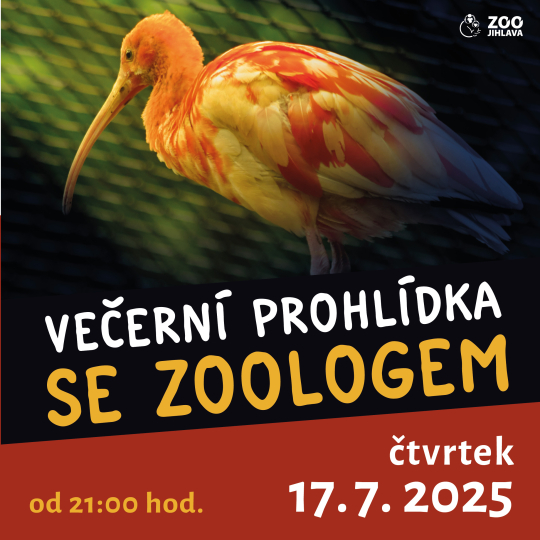Večerní prohlídka se zoologem 17. 7.
