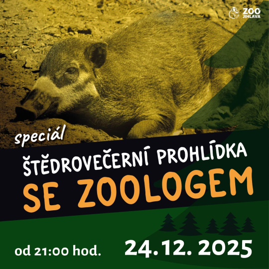 Štědrovečerní prohlídka se zoologem