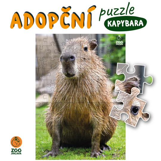 adopční puzzle - kapybara