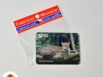 Turistická magnetka