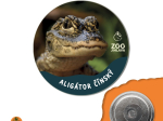 magnet button