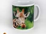 Hrnek Zoo Jihlava
