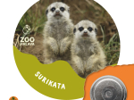 magnet button