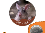 magnet button