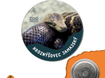 magnet button