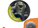 magnet button
