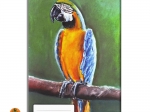 Sešit s malovaným zvířetem - ptáci