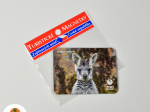 Turistická magnetka