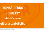 kočka bengálská krátkouchá