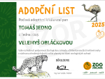 kočka bengálská krátkouchá
