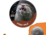 magnet button