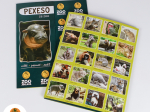 Pexeso Zoo Jihlava