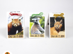 Čaj ze zoo