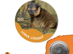 magnet button