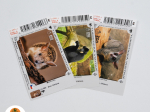 Turistická vizitka Zoo Jihlava