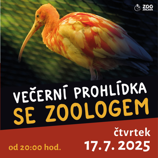 Večerní prohlídka se zoologem 17. 7.