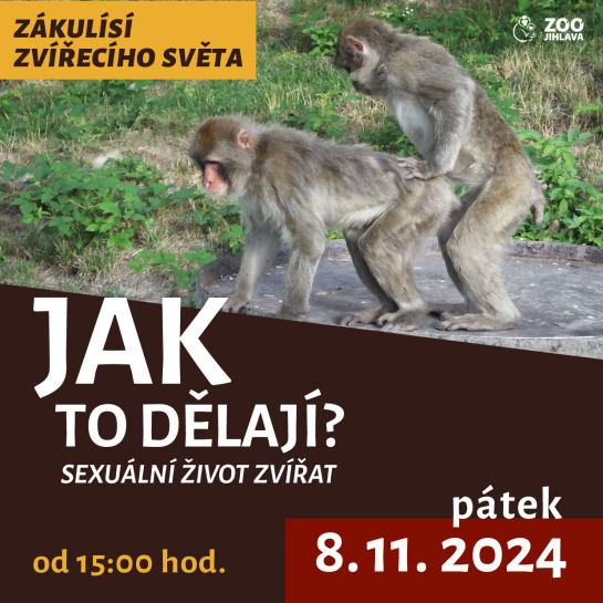 "Jak to dělají" aneb sexuální život zvířat