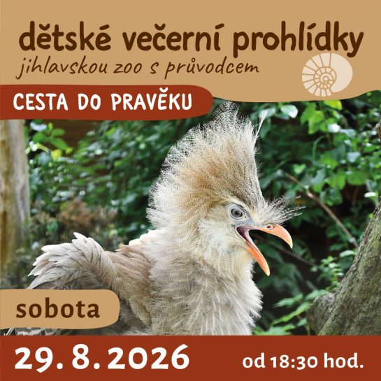 dětské večerní prohlídky jihlavskou zoo - CESTA DO PRAVĚKU - 29. 8. 2026 od 18:30