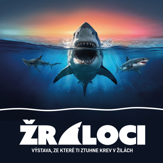 Interaktivní výstava ŽRALOCI