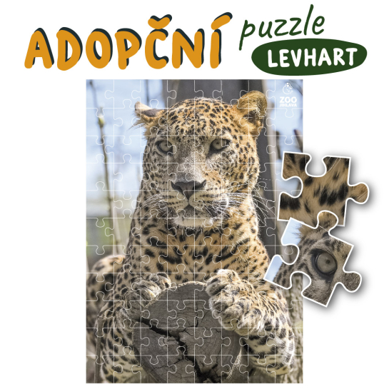Adopční puzzle - levhart cejlonský