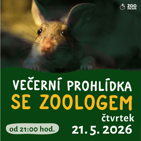 Večerní prohlídka se zoologem 21. 5.