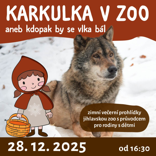 zimní večerní prohlídky pro rodiny s dětmi od 16:30 hod.