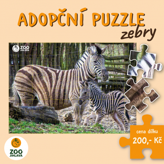 adopční puzzle - zebry