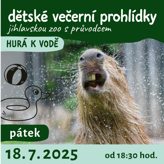 večerní prohlídky jihlavskou zoo - Hurá k vodě - 18. 7. 2025 od 18:30