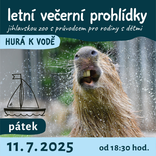 večerní prohlídky jihlavskou zoo - Hurá k vodě - 11. 7. 2025 od 18:30