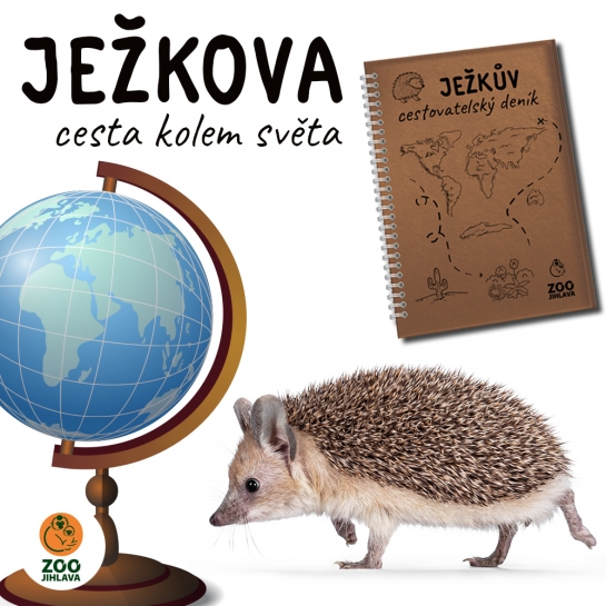 Ježkova cesta kolem světa