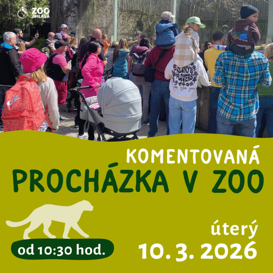 Komentovaná procházka zoo 10. 3.