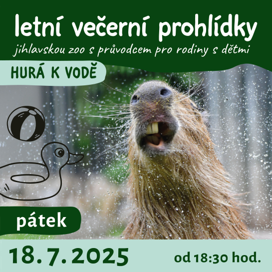 večerní prohlídky jihlavskou zoo - Hurá k vodě - 18. 7. 2025 od 18:30