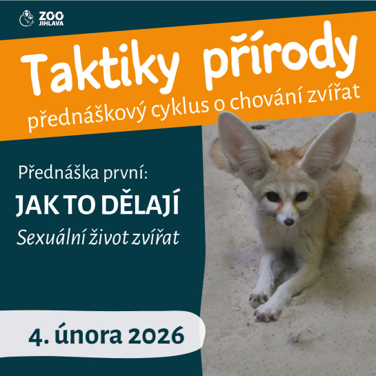 Taktiky přírody -Jak to dělají