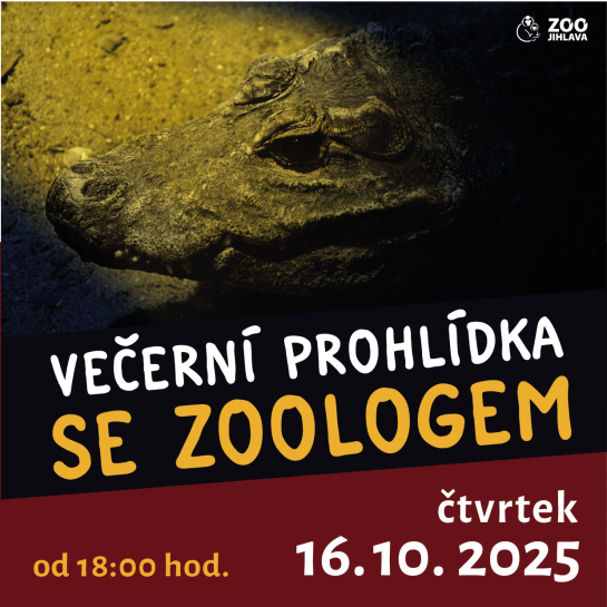 Večerní prohlídka se zoologem 16. 10.