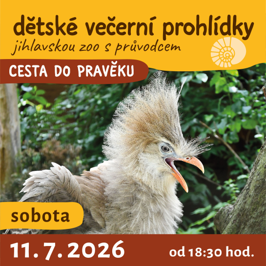 dětské večerní prohlídky jihlavskou zoo - CESTA DO PRAVĚKU - 11. 7. 2026 od 18:30