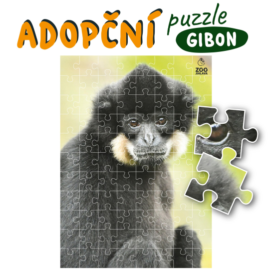 adopční puzzle - gibon