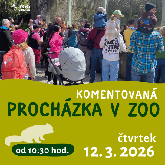 Komentovaná procházka zoo 12. 3.