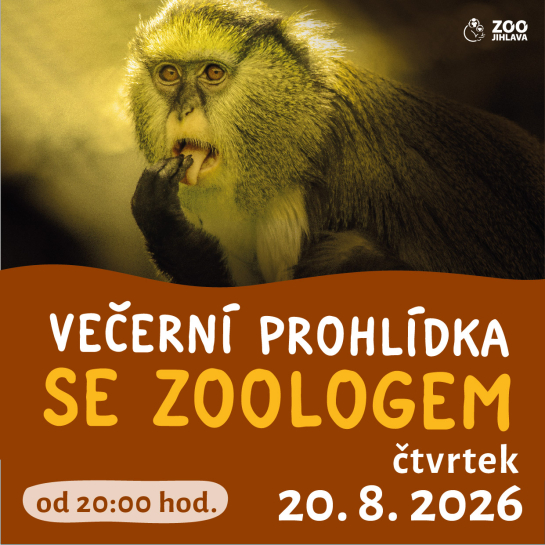 Večerní prohlídka se zoologem 20. 8.