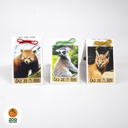Čaj ze zoo