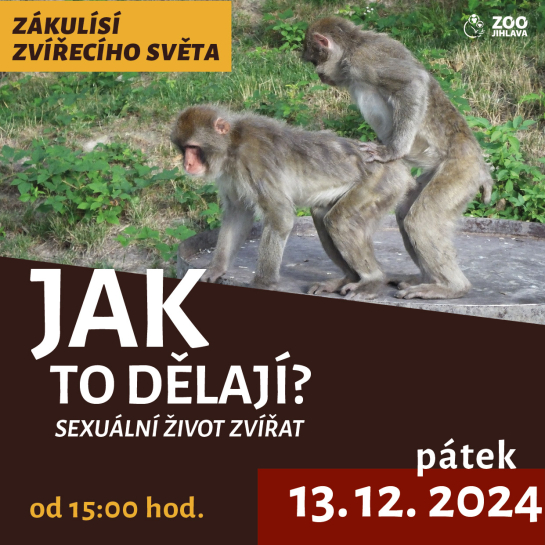 "Jak to dělají" aneb sexuální život zvířat