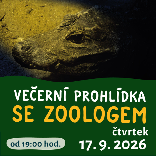 Večerní prohlídka se zoologem 17. 9.
